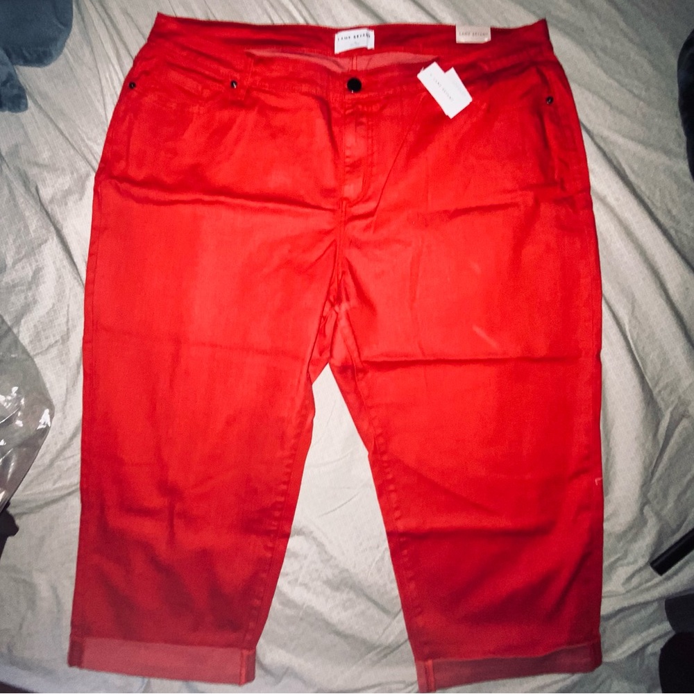 nwt lane bryant pants